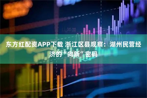 东方红配资APP下载 浙江区县观察：湖州民营经济的“向新”密码