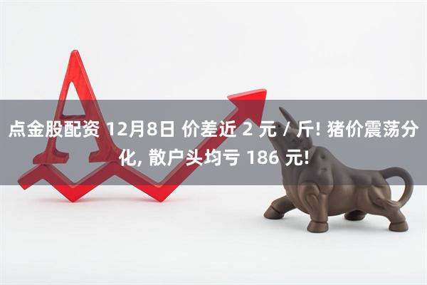 点金股配资 12月8日 价差近 2 元 / 斤! 猪价震荡分化, 散户头均亏 186 元!